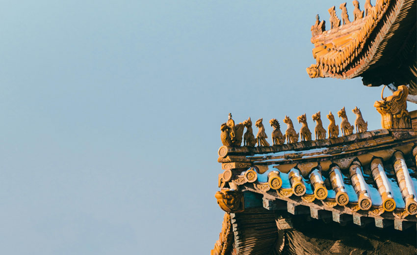 服务案例丨安美助力某博物馆焕发“数字新机”